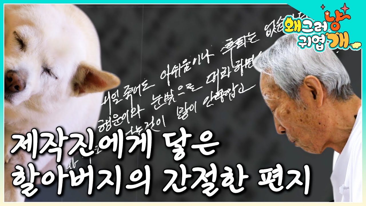 제작진을 눈물짓게 한 89세 할아버지의 편지 한 통 |#왜그러냥귀엽개