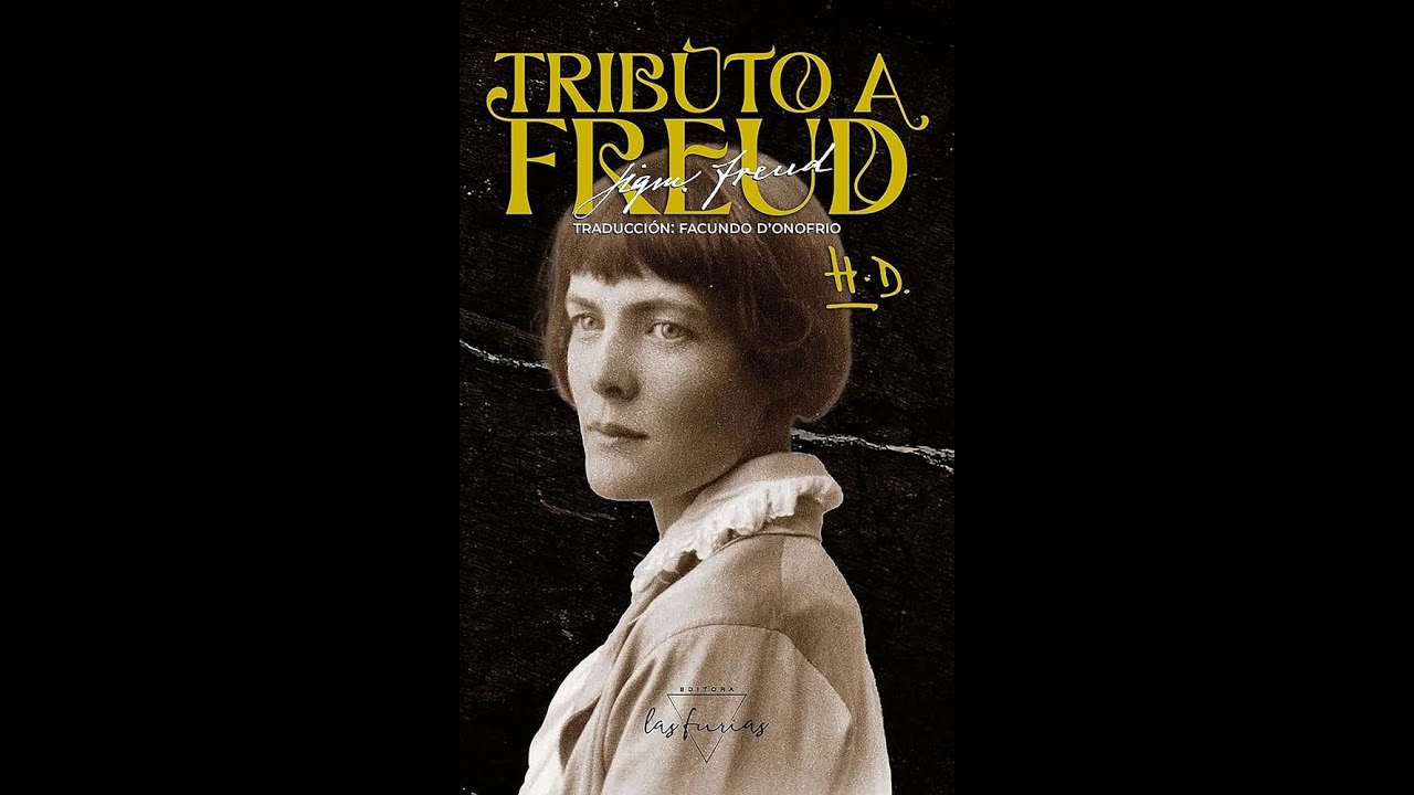 Seminario Clinico - Gerardo Garcia introduce el testimonio de Hilda Doolittle con Freud Vlog (UNR)