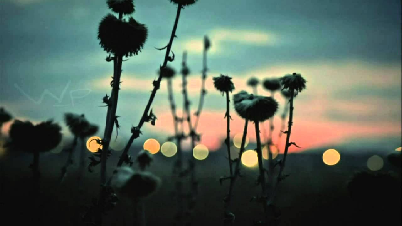 bvdub - Never in the Prison of Their Stars