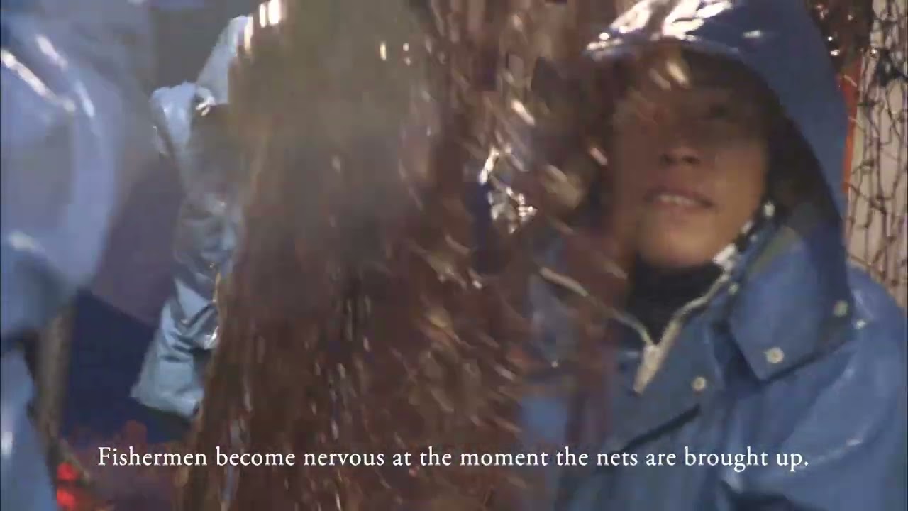 Echizen Gani: The Treasure of Fukui Prefecture (Long version; with subtitles)