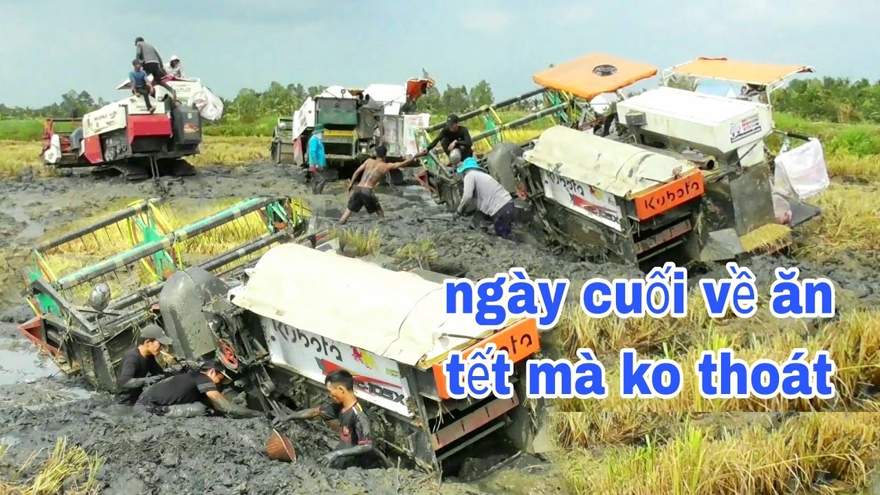 TIẾP THEO GIẢI CỨU 135PRO KUBOTA DC105X SỤP MƯƠNG LẮP VUÔNG TÔM