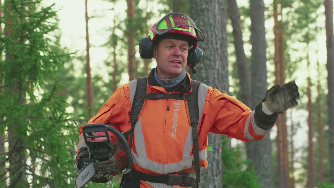 Arbete med motorsåg i skogen