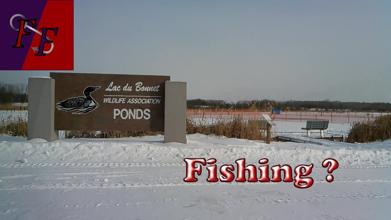 The fishing at Lac du Bonnet