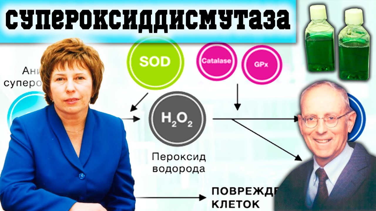 Супероксиддисмутаза (СОД) - Ключевой Антиоксидант и Перспективное Лекарственное Средство
