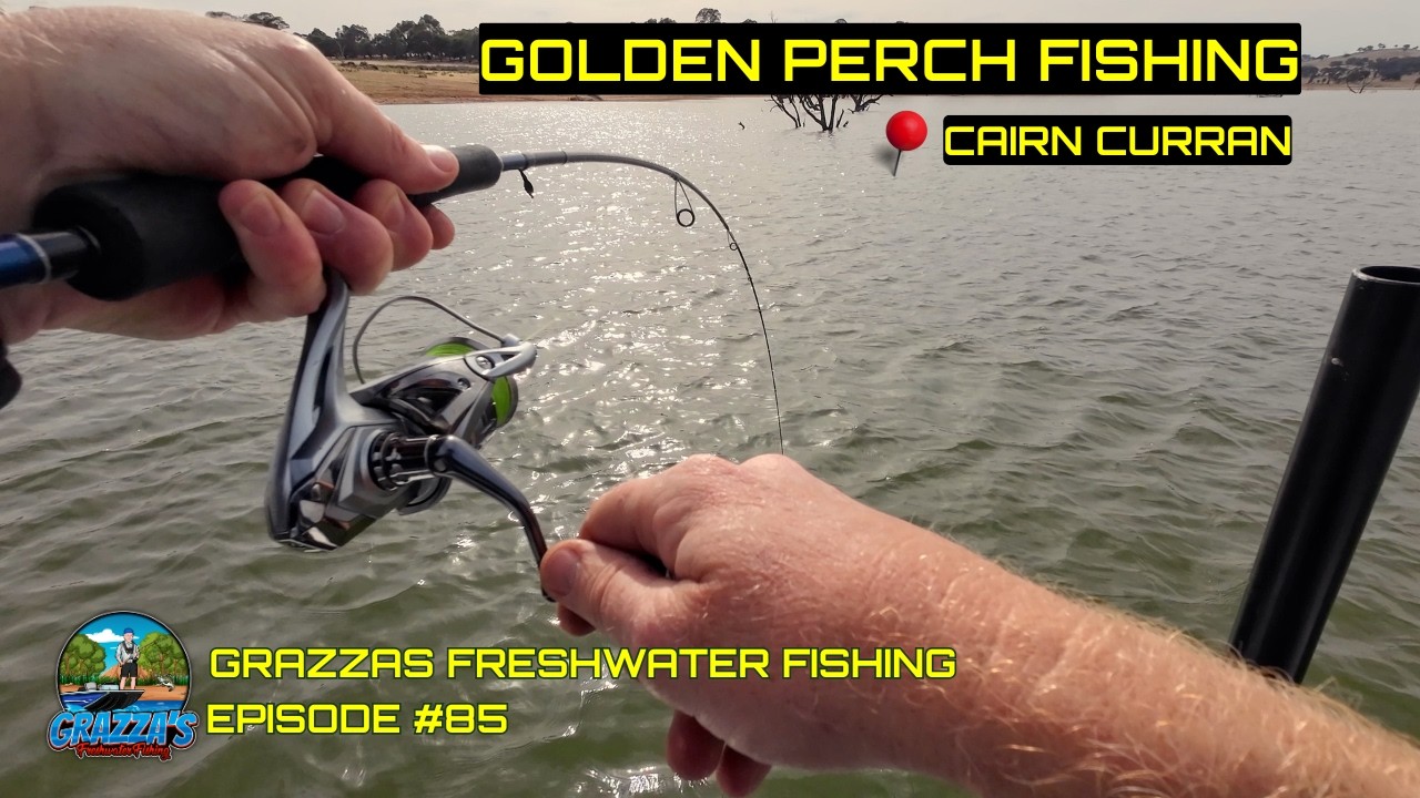 Рыбалка на золотистого окуня в Кэрн-Карране #grazzasfreshwaterfishing