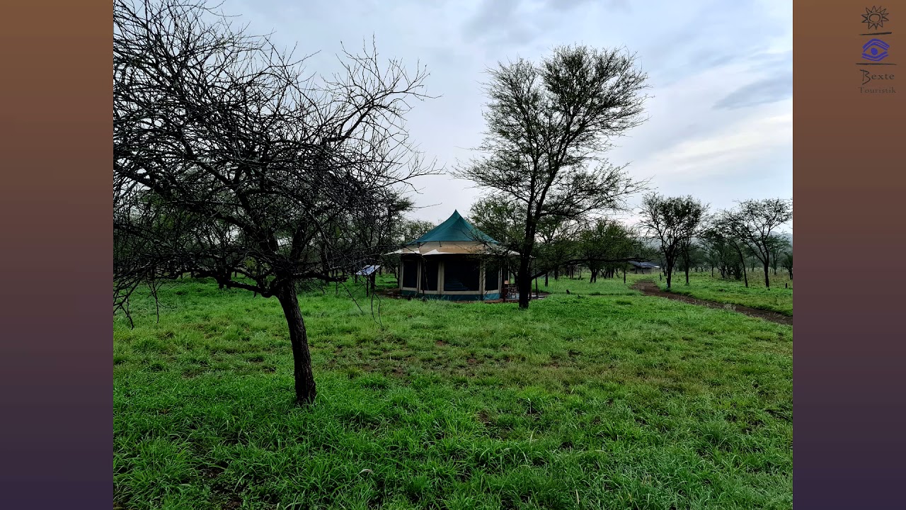 Osero Tented camps - Serengeti Tanzania