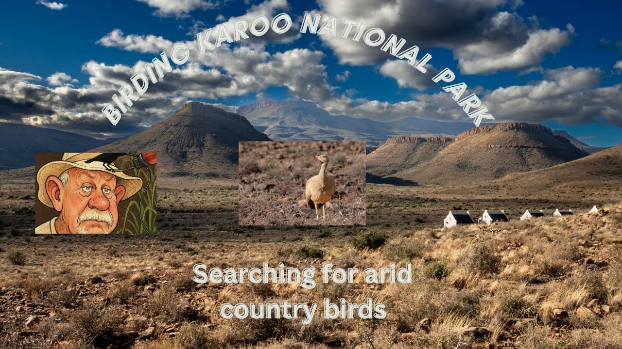 Birding Karoo National Park