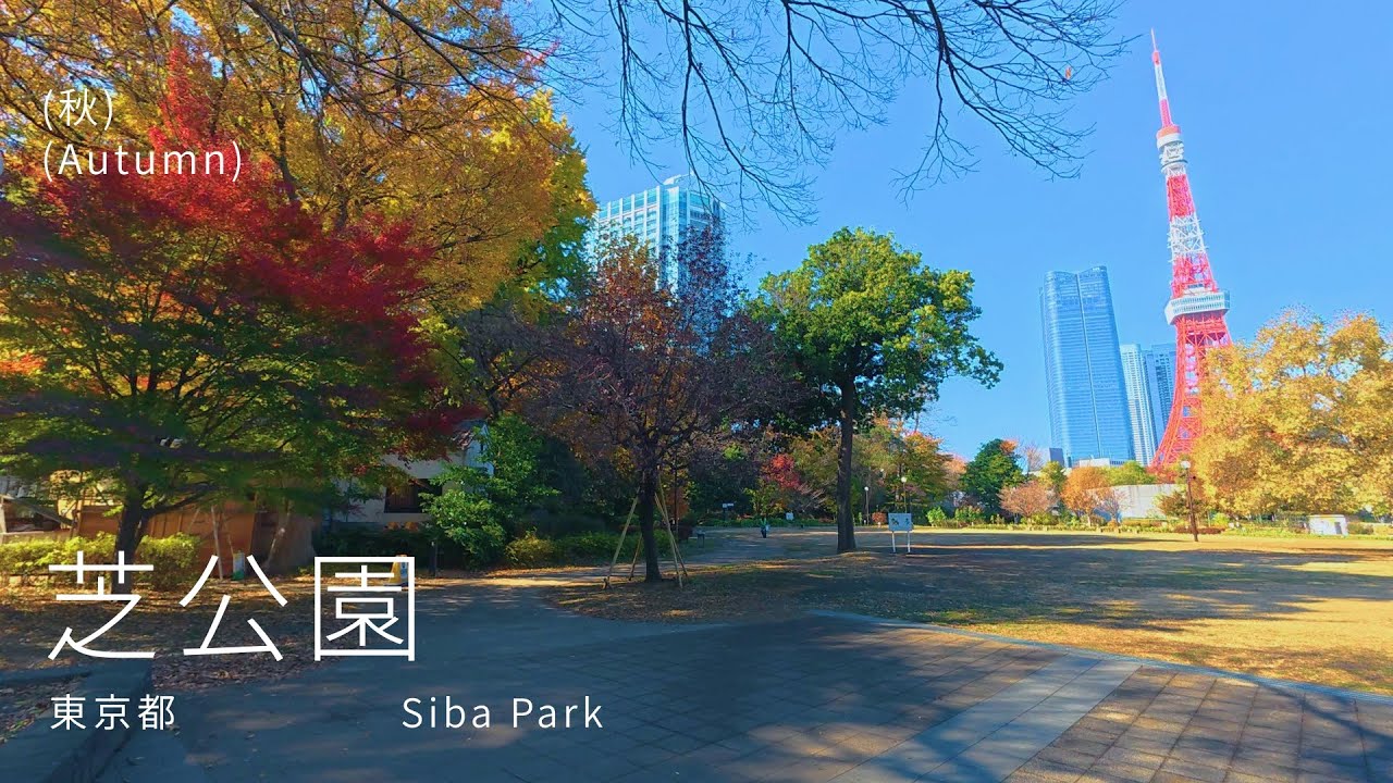 【4K・POV】 東京都港区  芝公園を散歩（秋）
