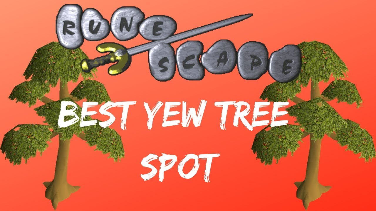 Oldschool Runescape Members Guide - Yew Tree Spot - No Requirements [2020]