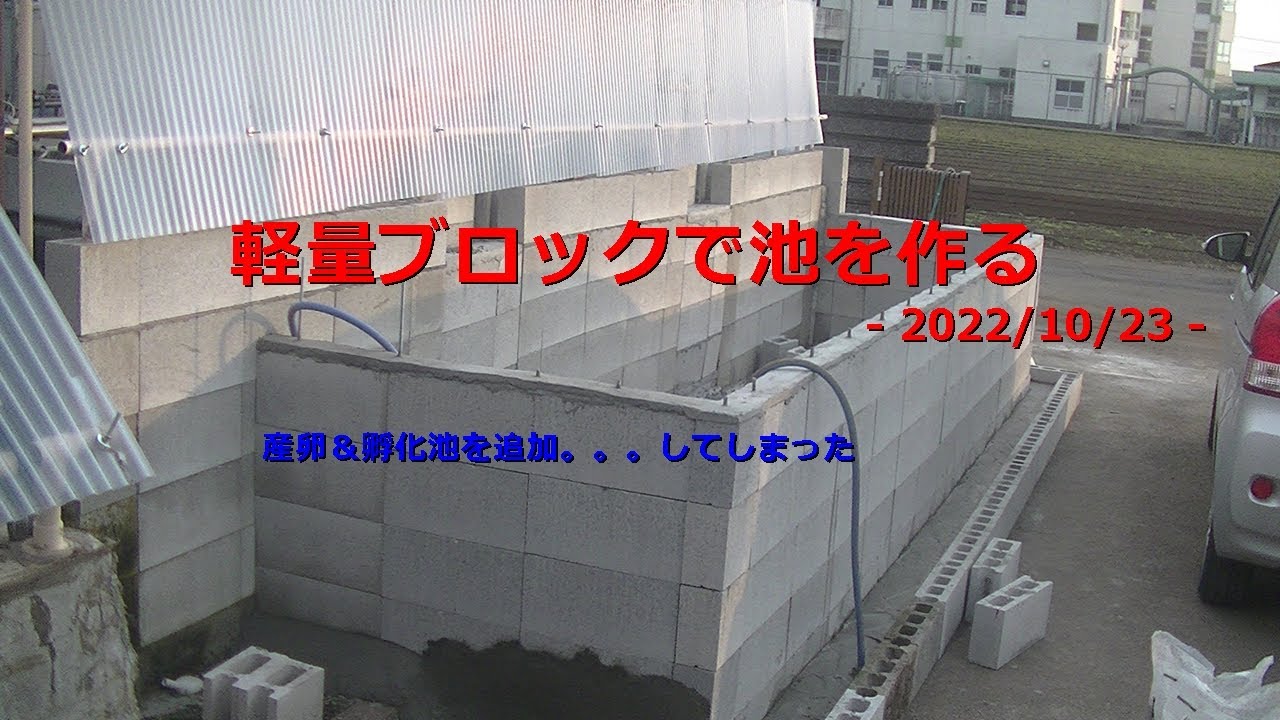 軽量ブロックで池を作る - 2022/10/23 -