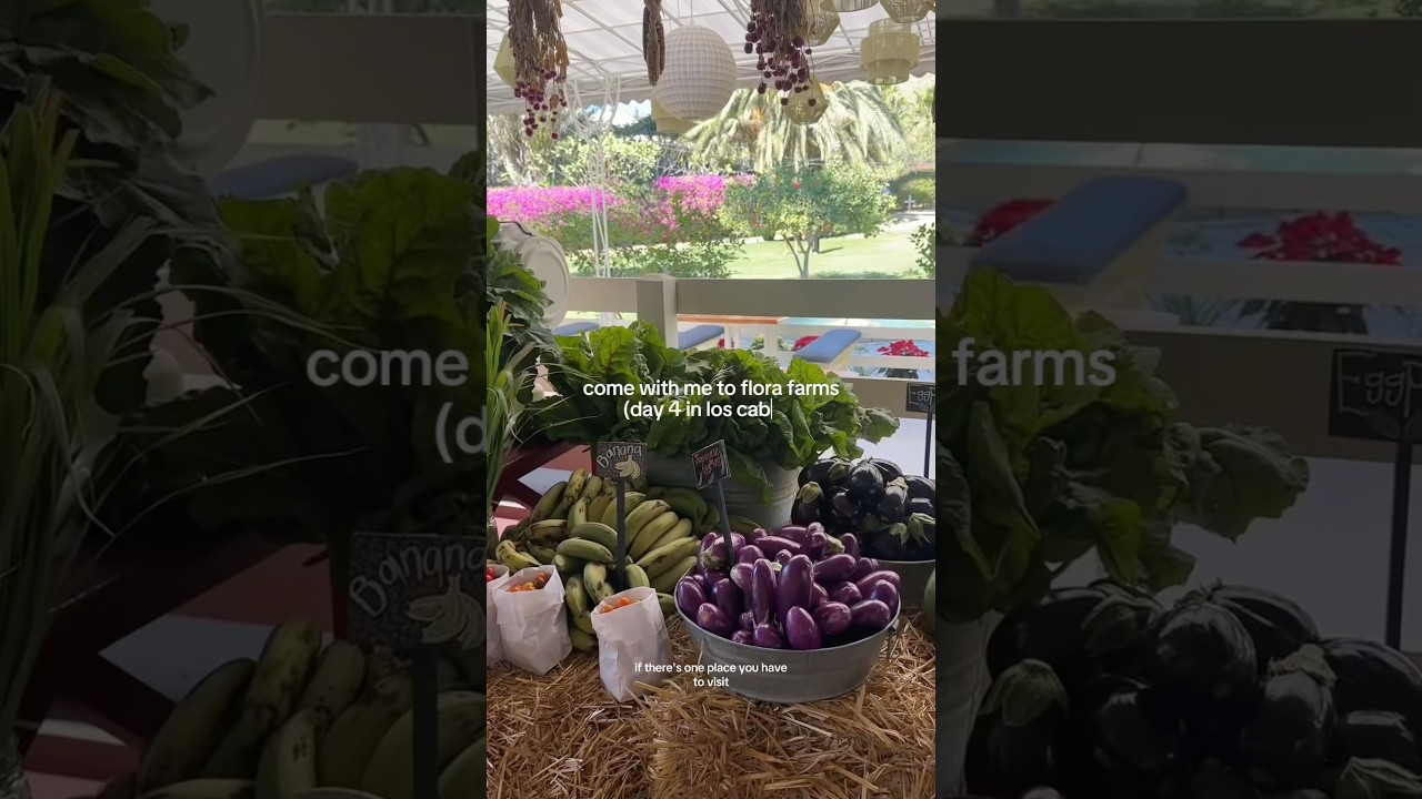 FLORA FARMS: DAY 4 IN LOS CABOS VLOG