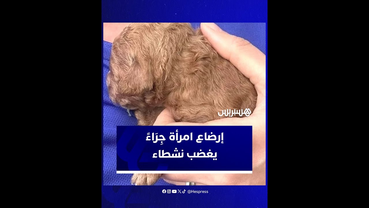 امرأة تثير الجدل بإرضاعها لكلاب والدرك الملكي يدخل على الخط