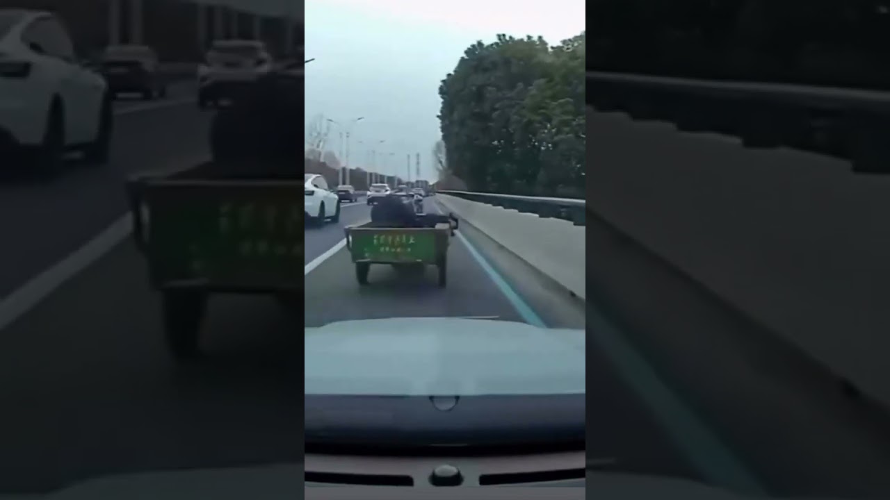 Мне похуй нахуй на Шевроле Тахо