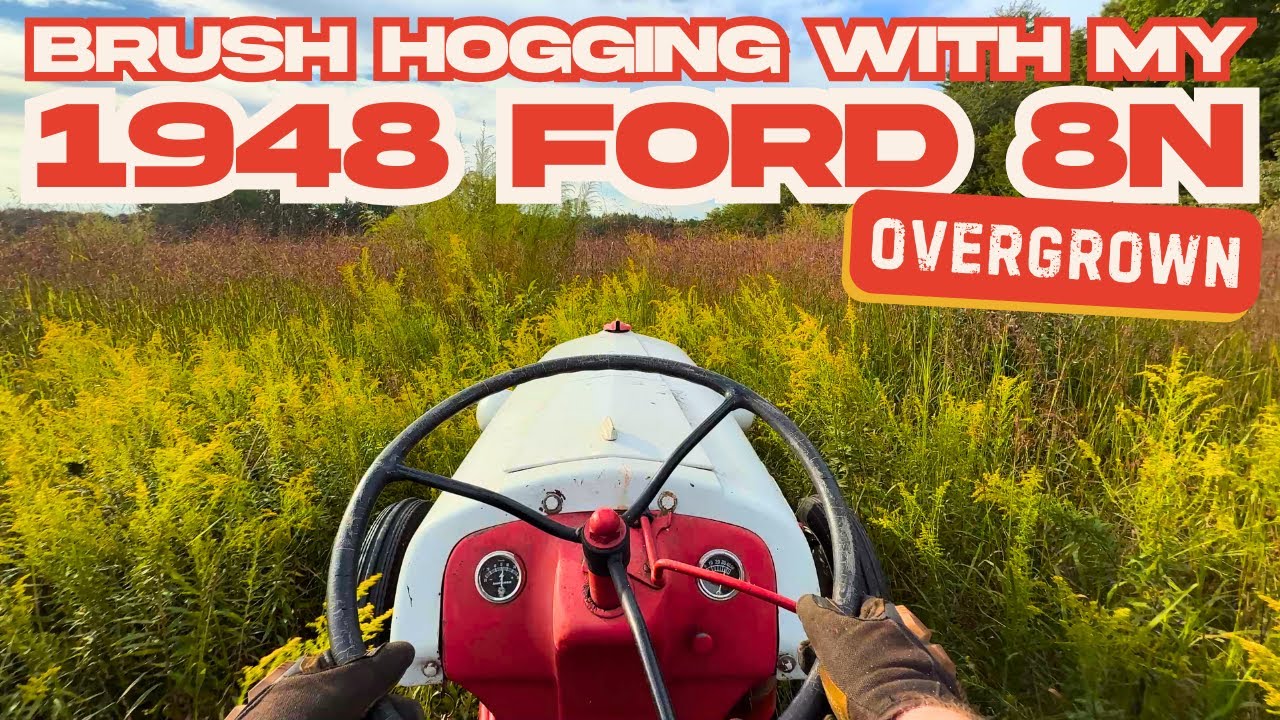 Brush Hogging THE MOST Overgrown Pasture with a 1948 Ford 8N Tractor