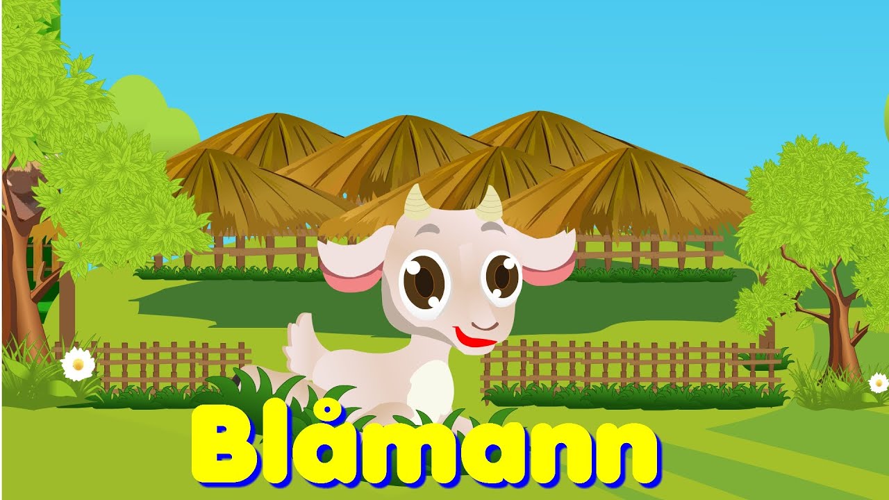 Barnesanger på norsk | Blåmann, blåmann - bukken min med mer