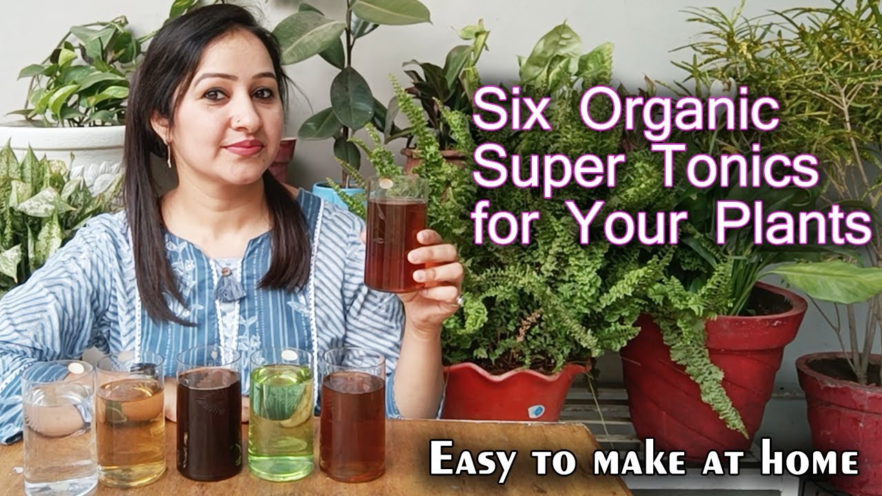 Six Organic Liquid Fertilizers for Magical Growth of Plants | Home made Liquid Fertilizers