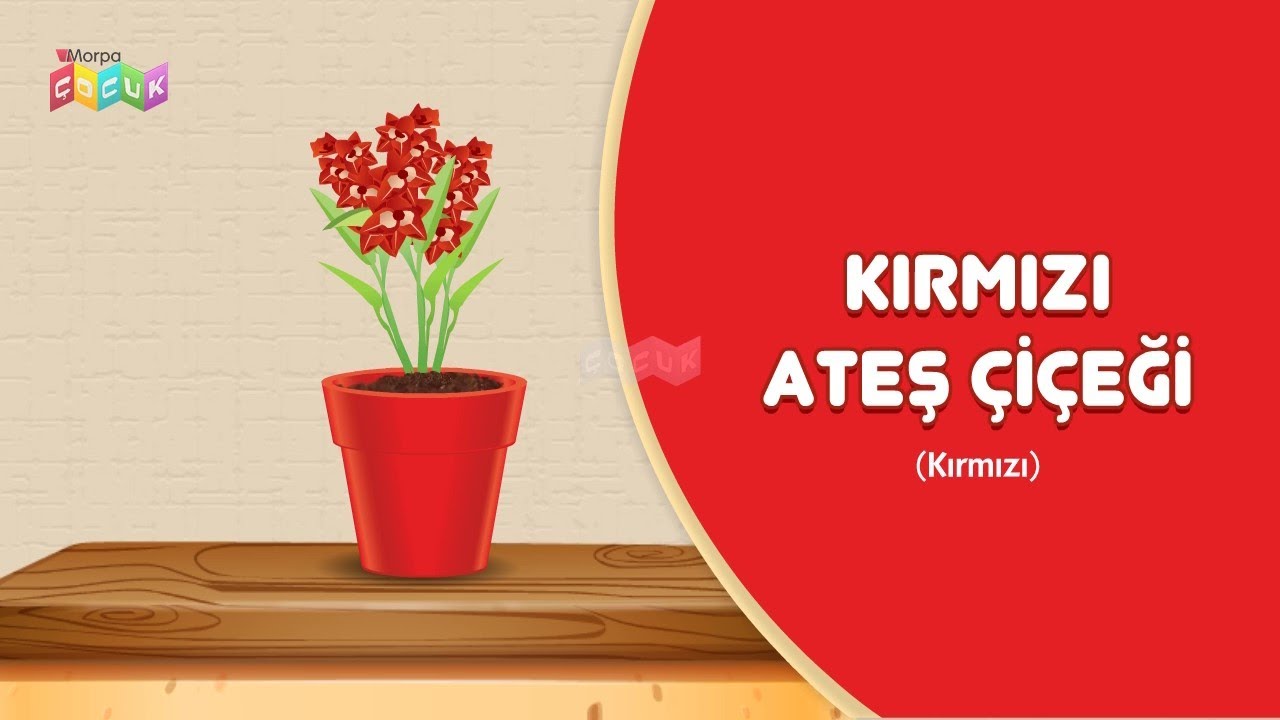 Kırmızı Rengi / Renkleri Öğreniyorum / Eğitici Çizgi Film