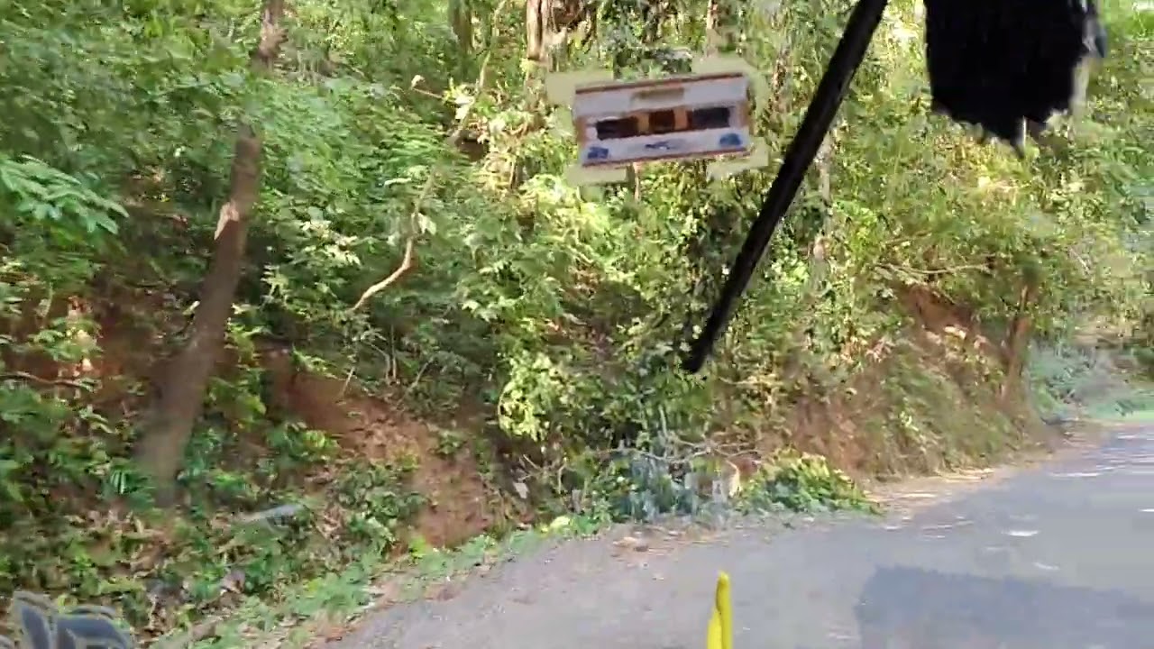 ಕಾಡಿನ ದೃಶ.. ಶಿವಮೊಗ್ಗ 