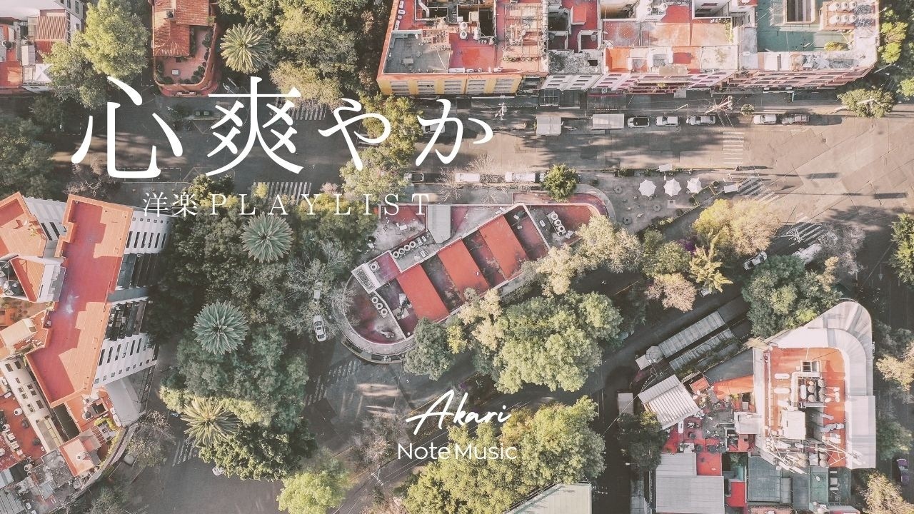 【朝の作業用BGM】爽やかな朝を迎える 🌿 洋楽 Acoustic Chill 🎧 身支度・作業・カフェタイムに｜Chill & Relax Playlist