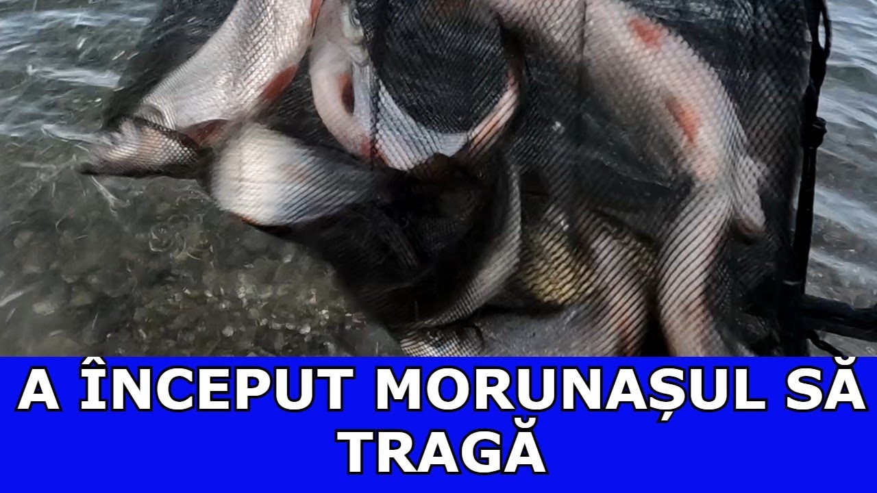 PESCUIT PE DUNĂRE LA MORUNAȘ