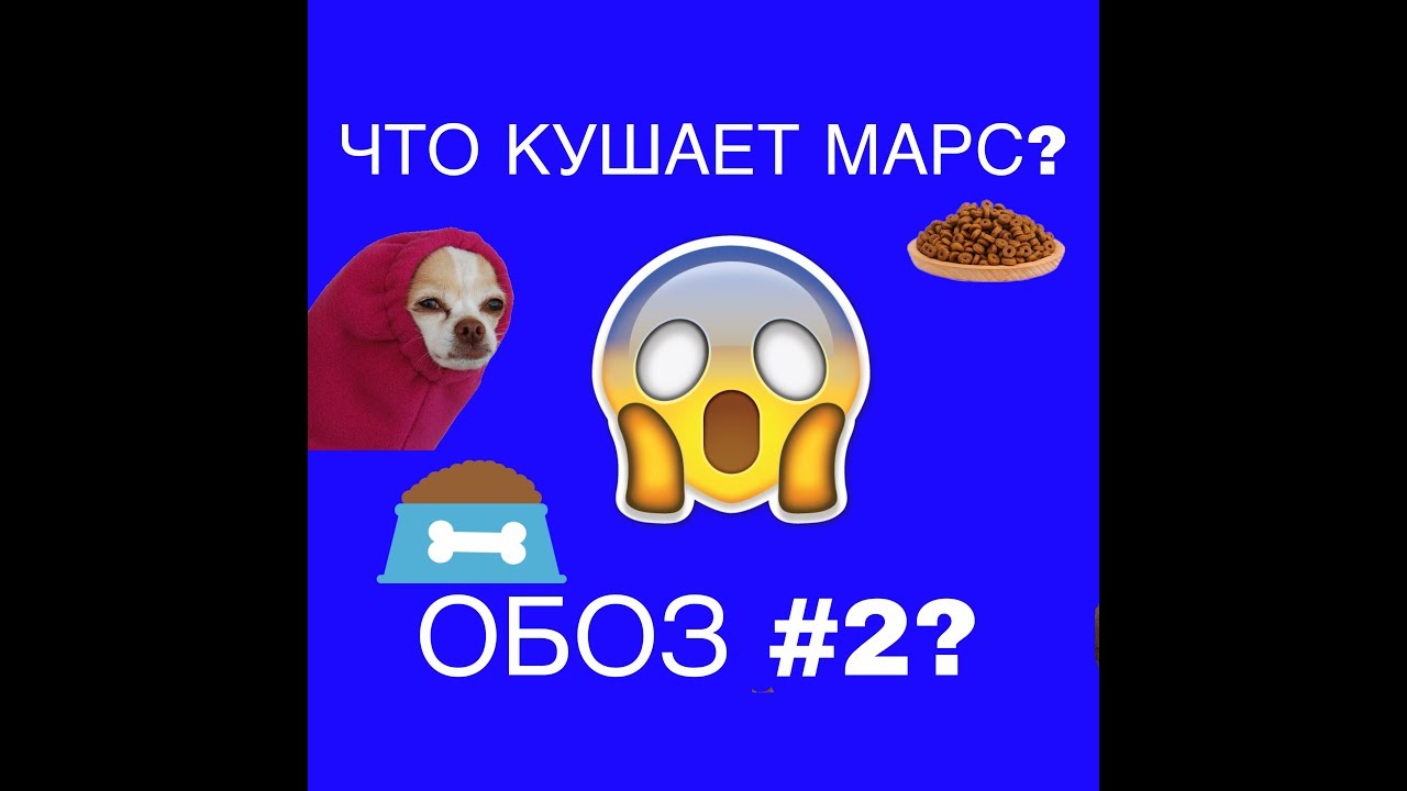 ОБЗОР НА МИСКИ-ЧТО КУШАЕТ МАРС?//Migel LIFE