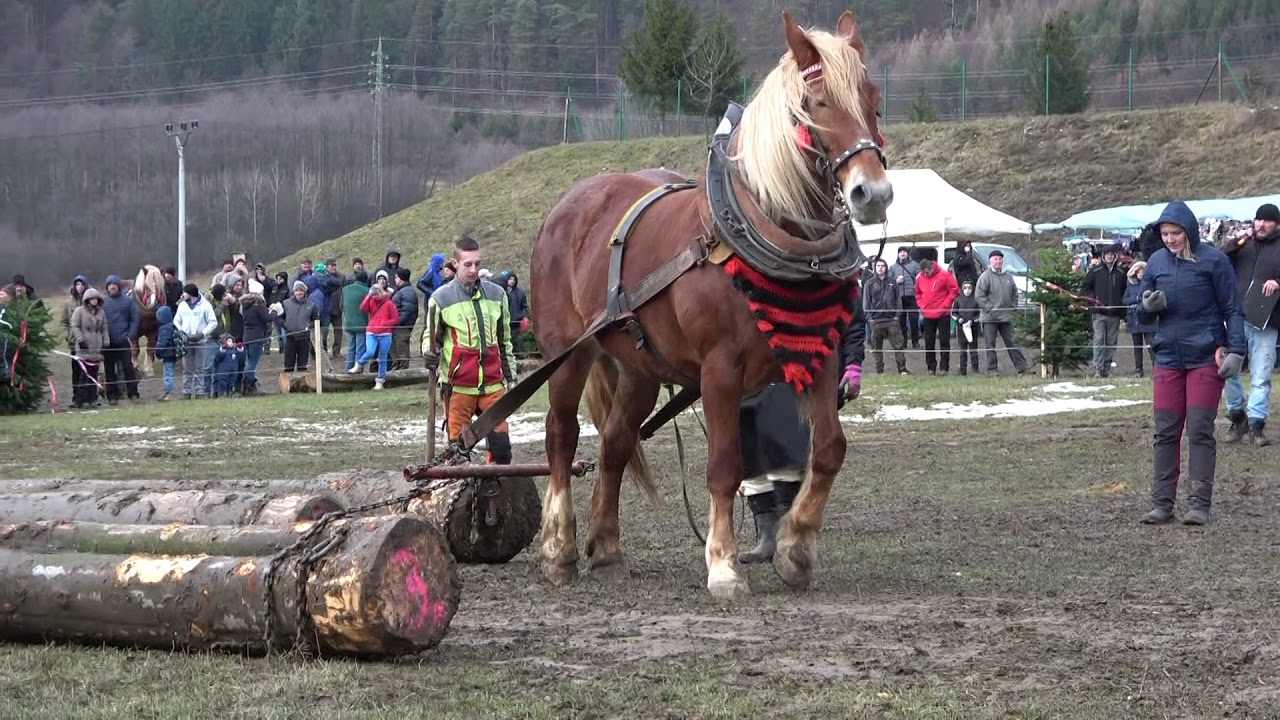 Furmanské preteky (Kľačianska podkova 2020)