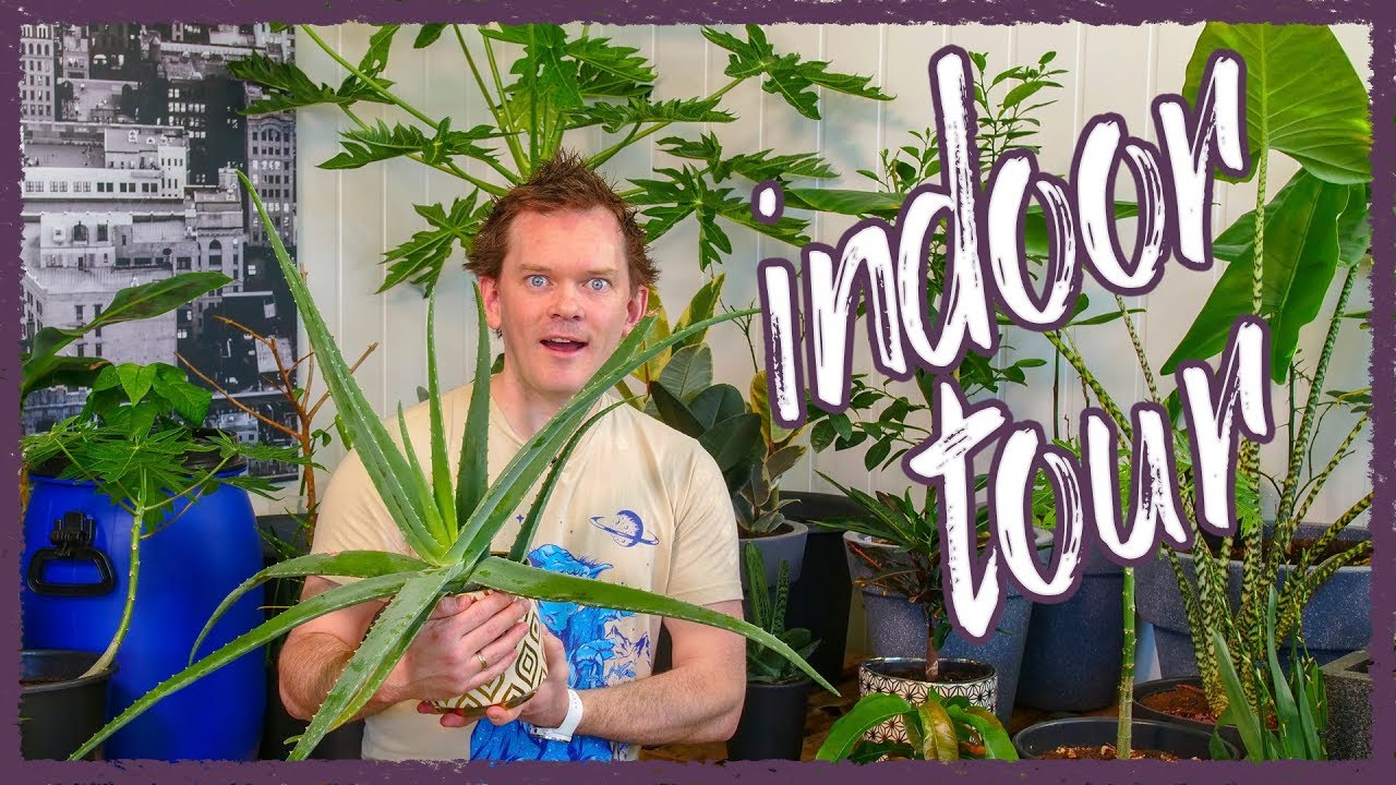 Indoor Garden Tour - Spring 2019