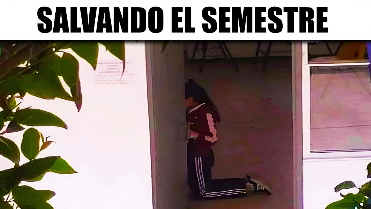 MEMES ALGO XD #25
