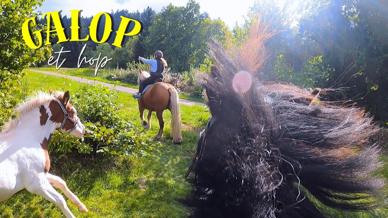 ET HOP EN SELLE, POUR DE VRAI !