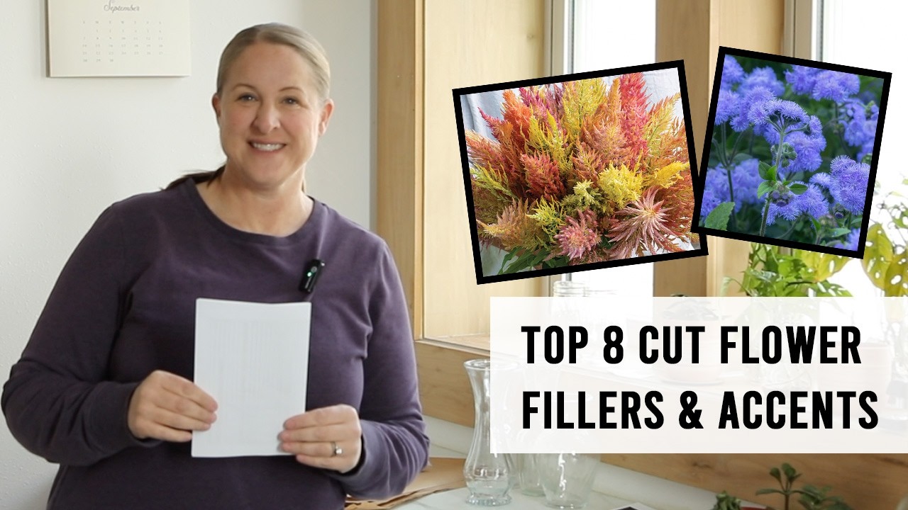 Top 8 Favorite Fillers & Accents for Cut Flowers : Sunshine and Flora