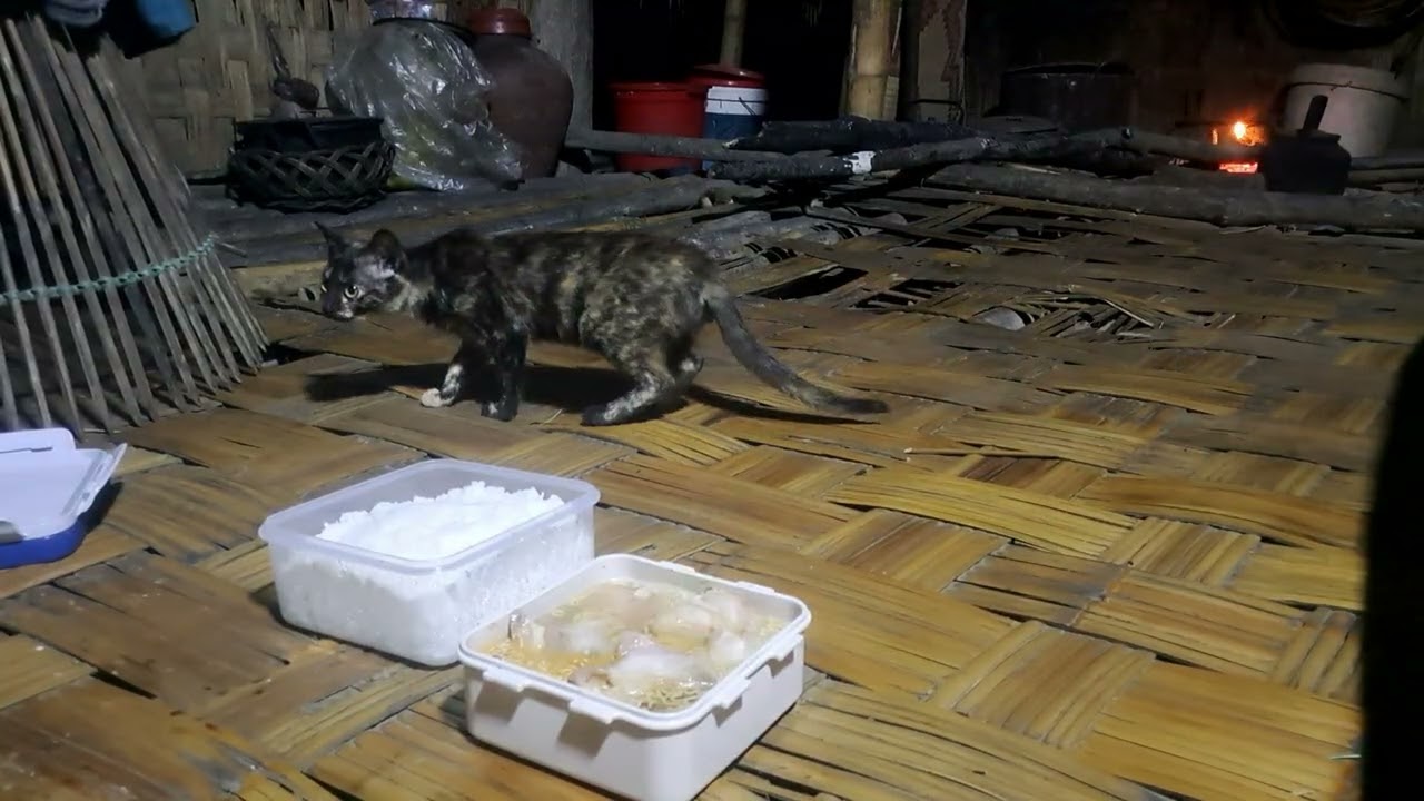 bữa tối đơn sơ ngủ lại một mình trong đêm