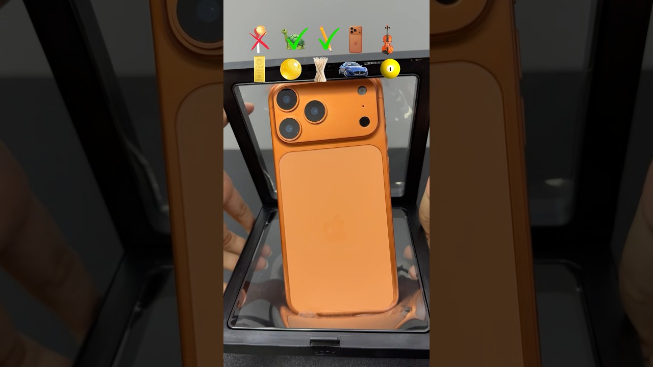 Can it fit?