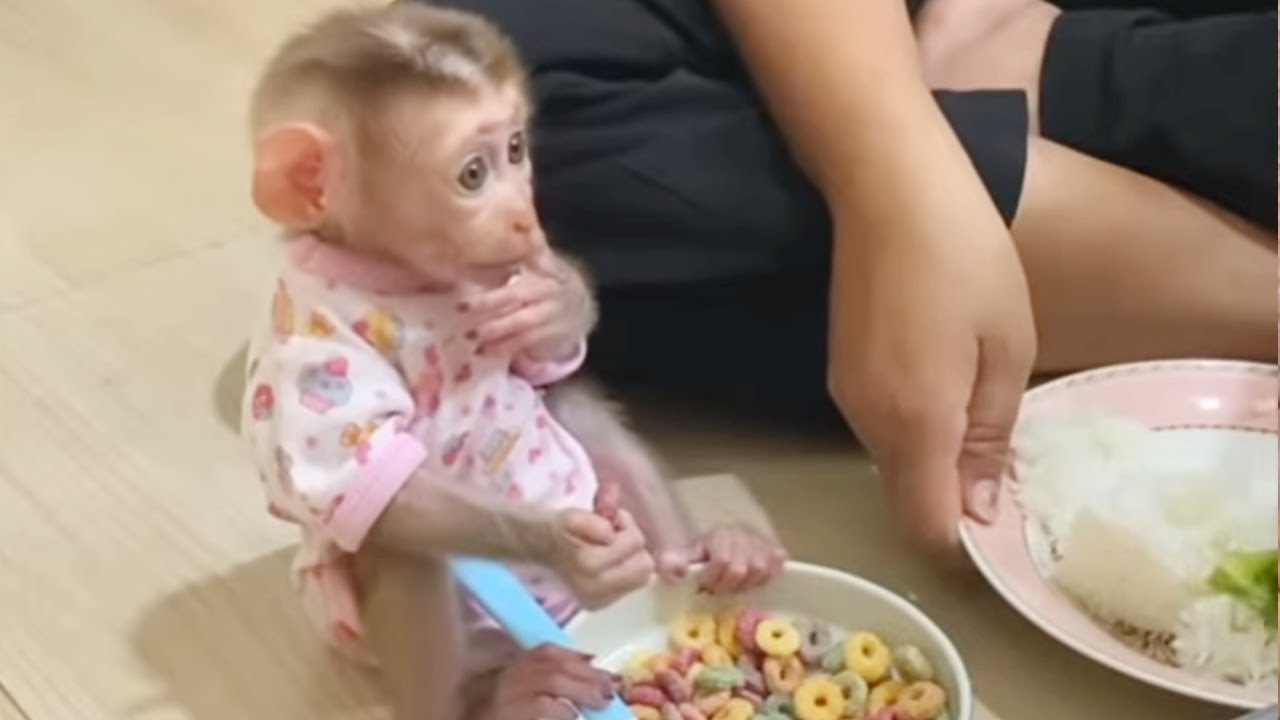 Gorgeous DAM Join Having Food With Mommy