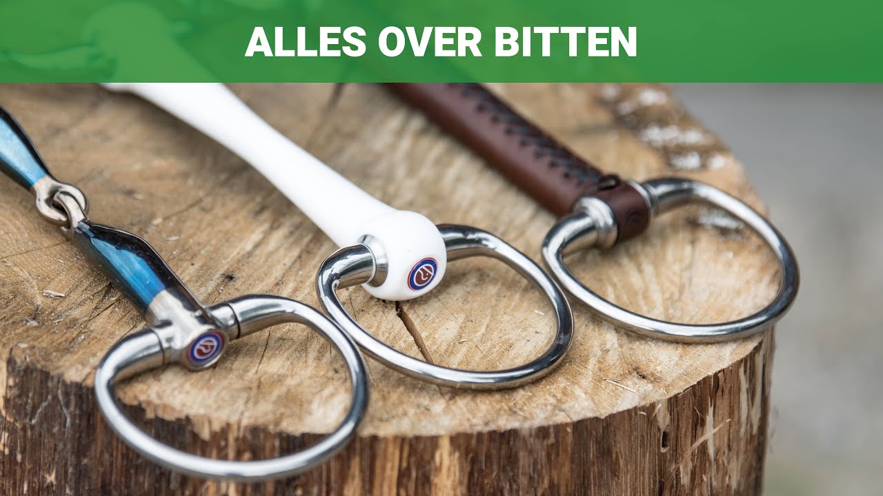 Alles over bitten