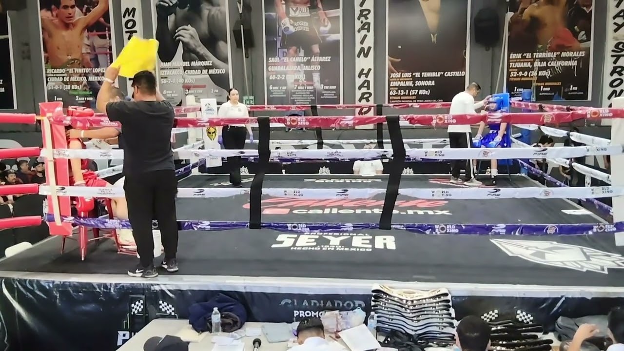 Pelea Darlyn Durán campeonato 