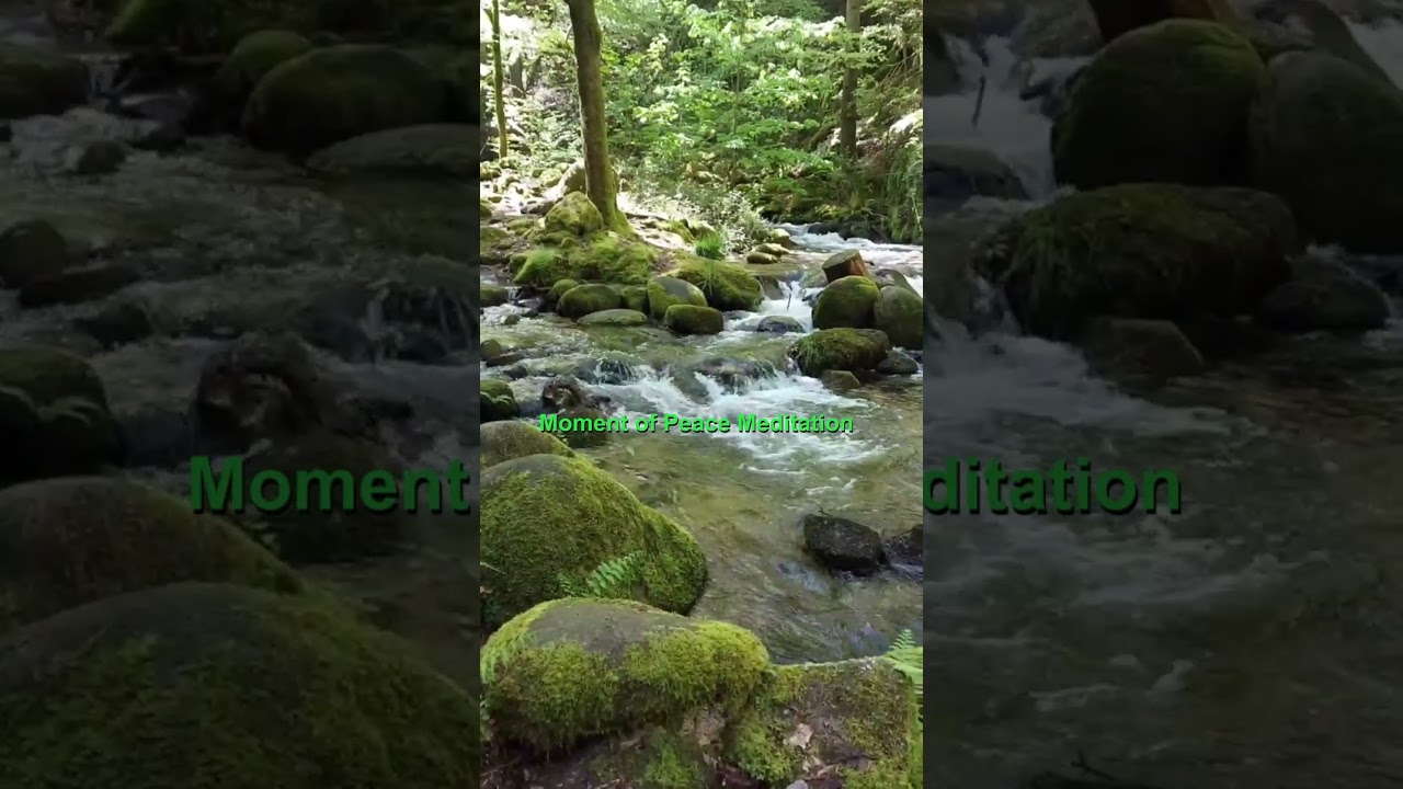 Relaxing Music Monbachtal Short #nature #peace #peaceful #relaxing #relax