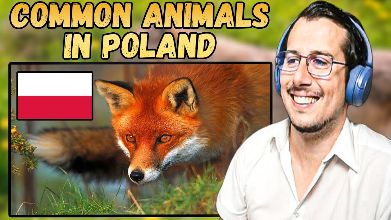 As an Italian, I'm Surprised By These 7 Polish Animals! 🇵🇱