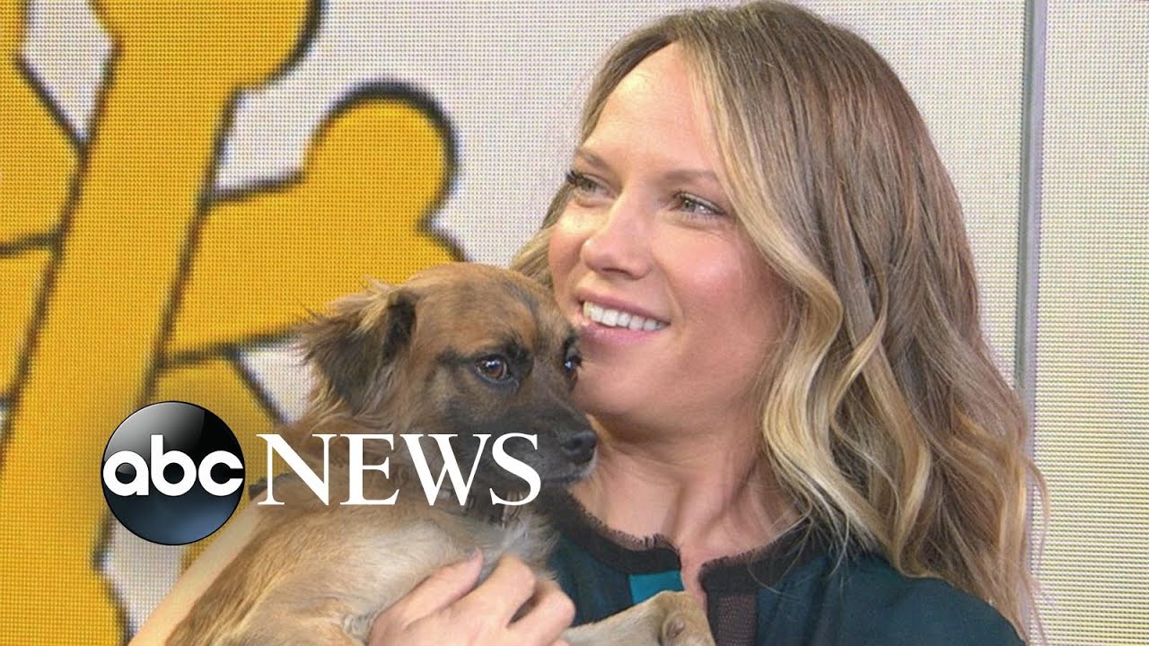 Finding the Right Rescue Pup to Add to Your Family