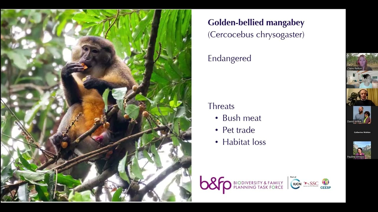 Dec 3, 2024 CMP Quarterly Call Integrating Human Health Into Conservation Action
