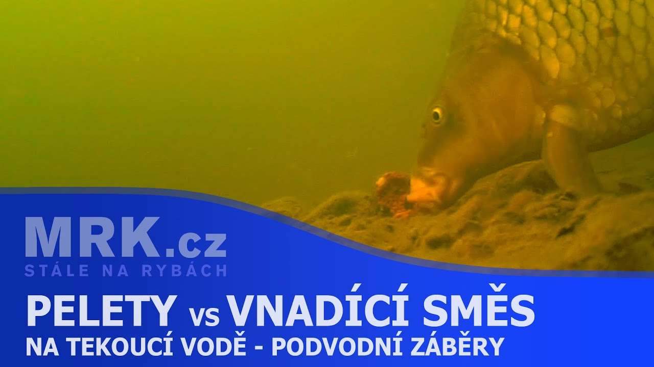 MRK.cz - Pelety vs vnadící směs na tekoucí vodě - podvodní záběry