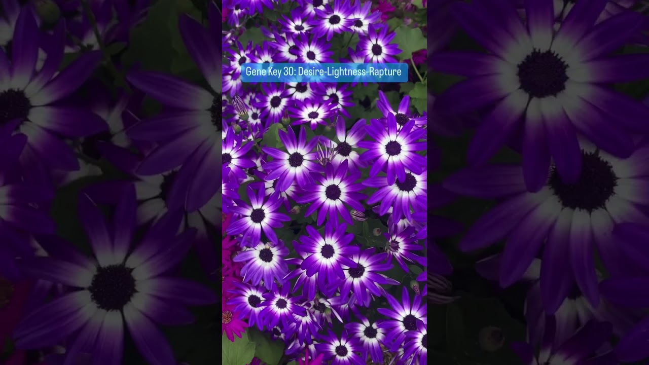 How to transform desire, Gene Key 30 #genekeys #genekeysguide