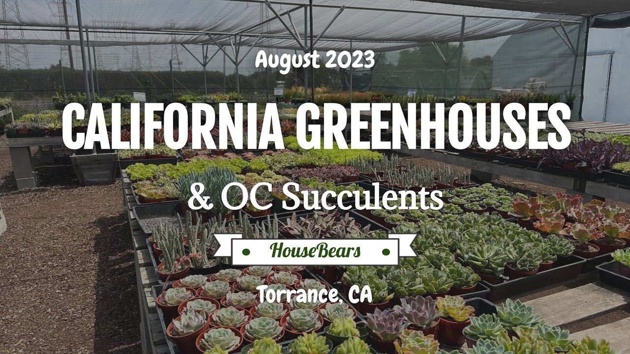 Exploring California Greenhouses & OC Succulents | Nursery Walking Tour