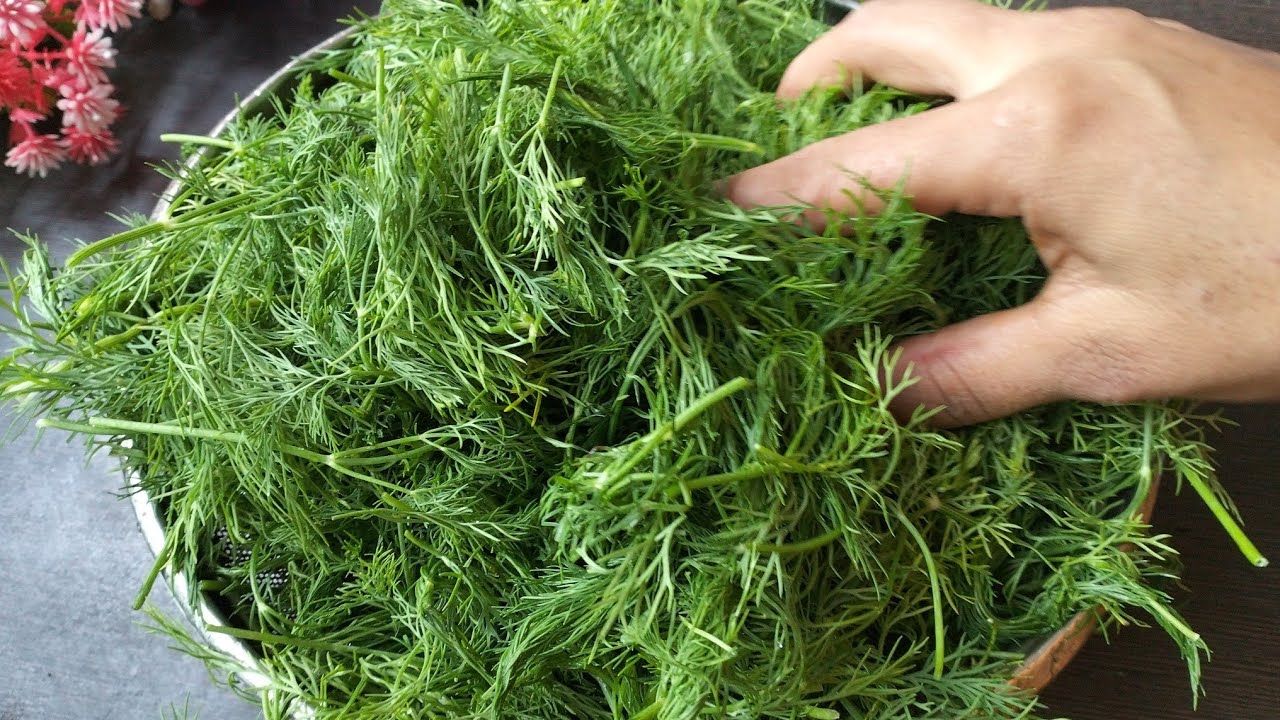 👉Sabbassige/ಸಬ್ಬಸಿಗೆ ಸೊಪ್ಪಿನ ಹೊಸ ರೆಸಿಪಿ ಈ ರೀತಿ ಟ್ರೈ ಮಾಡಿ ನೋಡಿ ಮತ್ತೊಮ್ಮೆ ಕೇಳಿ ತಿಂತಾರೆ♥️👌