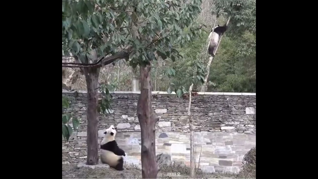 最新の検疫！