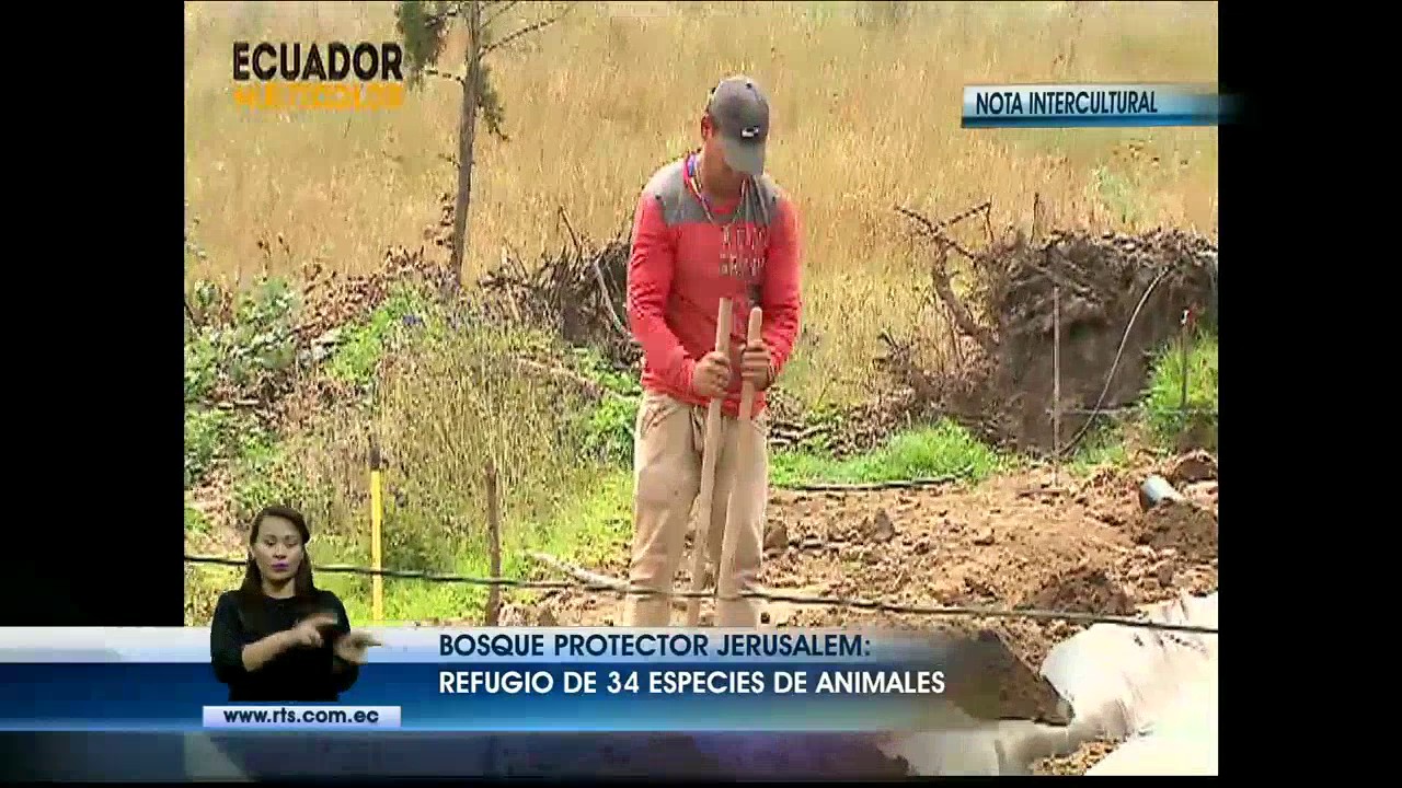 Las bondades del bosque protector Jerusalem