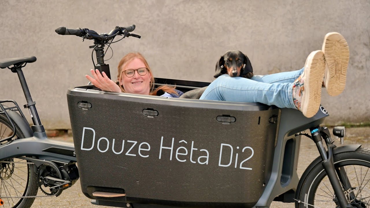 Douze Heta Di2 - die Urban Arrow und Bullitt X Alternative?