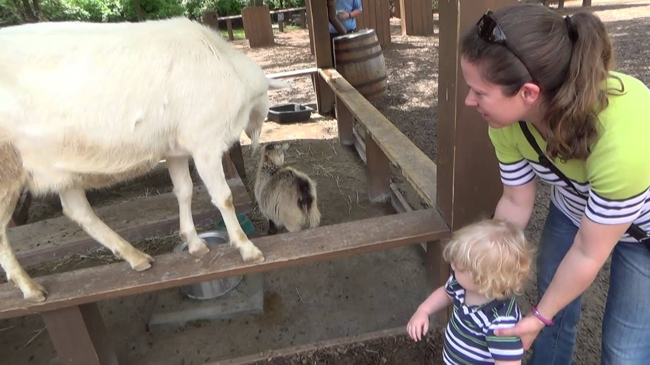 Ethan Visits the Nashville Zoo