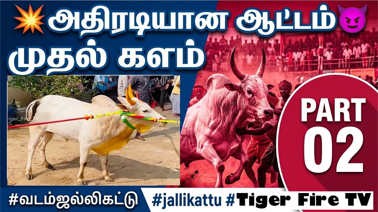 💥அதிரடியான ஆட்டம்😈| பகுதி 02 | முதல் களம் | சரவணன் அவர்களது வெள்ளை காளை #jallikattu #வடம்ஜல்லிகட்டு 