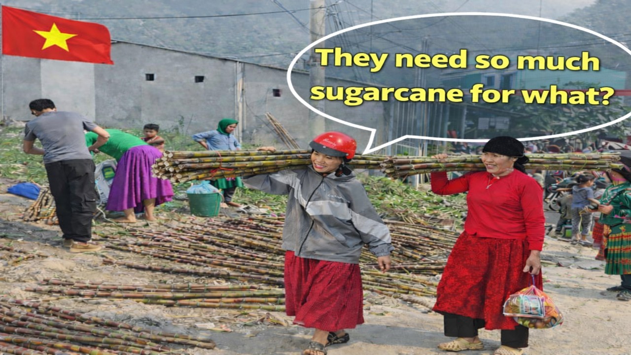 Is Sugarcane Really Only $0.20 in Vietnam🇻🇳? Highland Farmers, Vietnam Village Markets