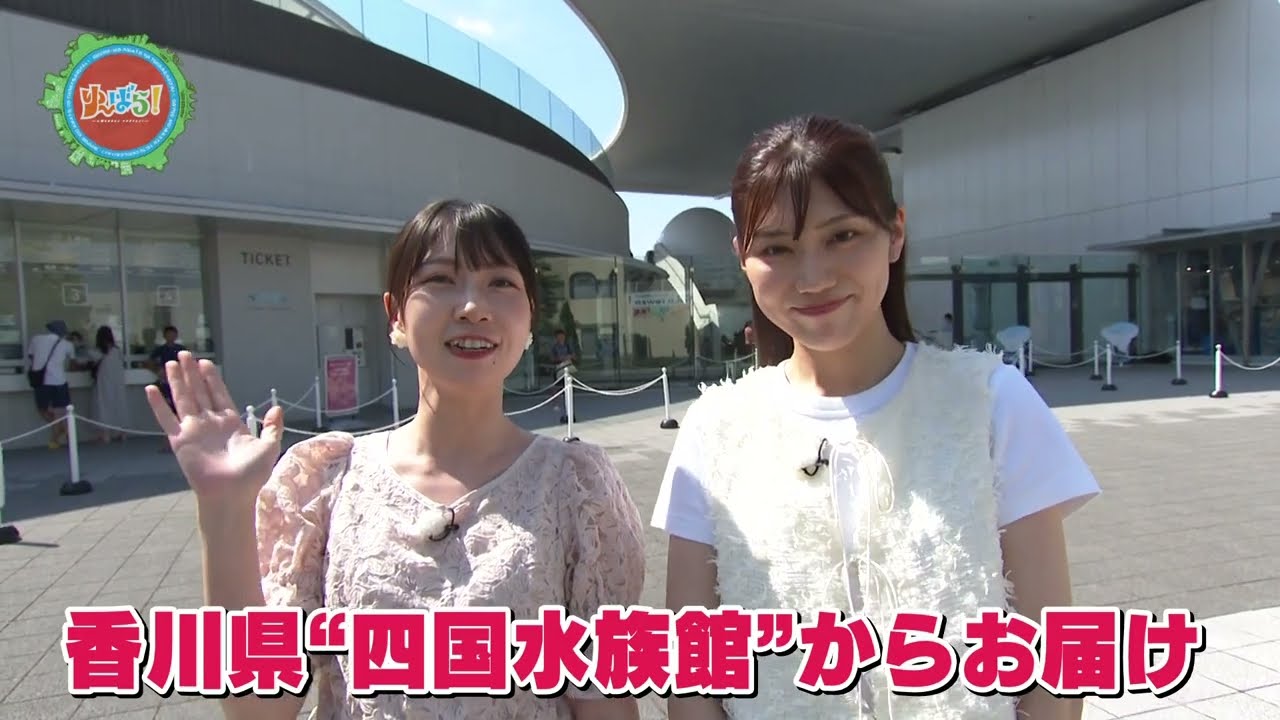 四国水族館を大特集【ゆ～ばら！】